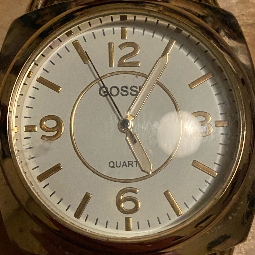 Beautiful Gossip Watch